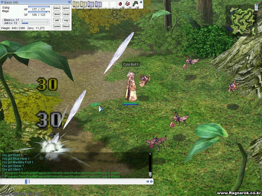 Скриншот из игры Ragnarok Online под номером 14