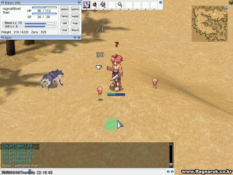 Скриншот из игры Ragnarok Online под номером 2