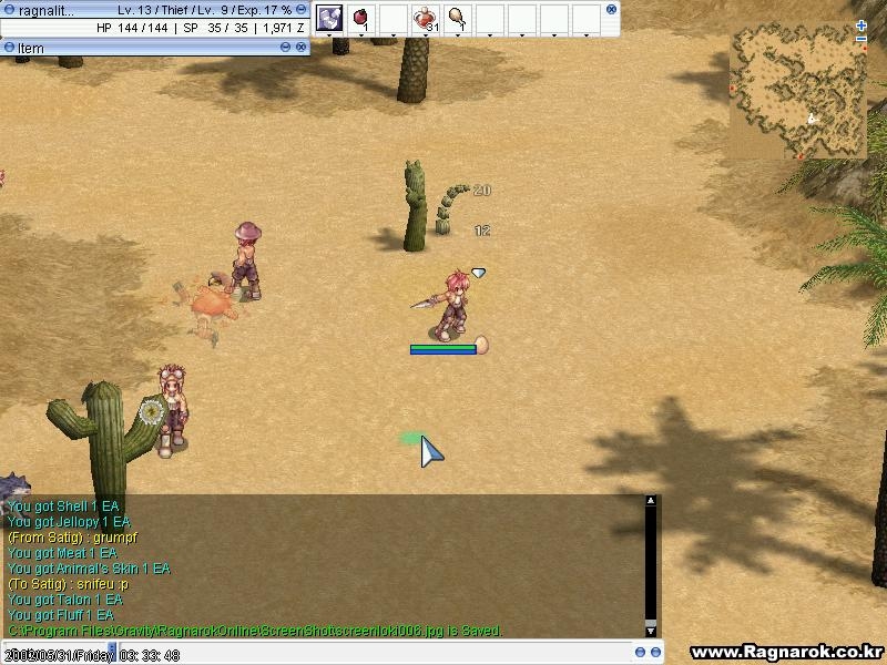Скриншот из игры Ragnarok Online под номером 4
