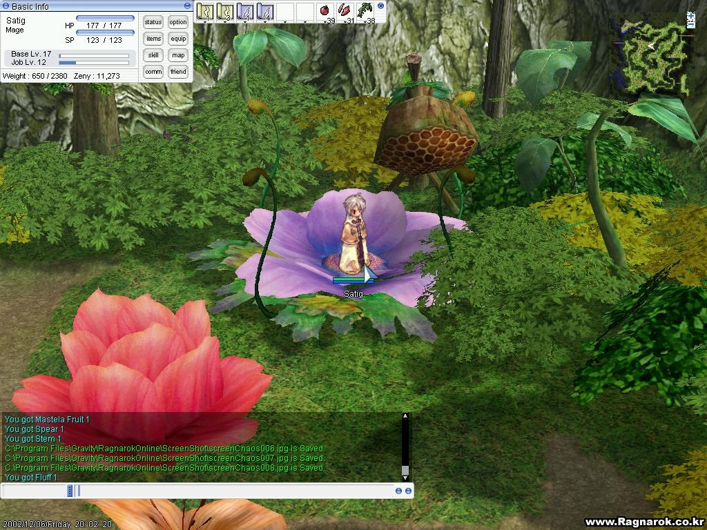 Скриншот из игры Ragnarok Online под номером 8