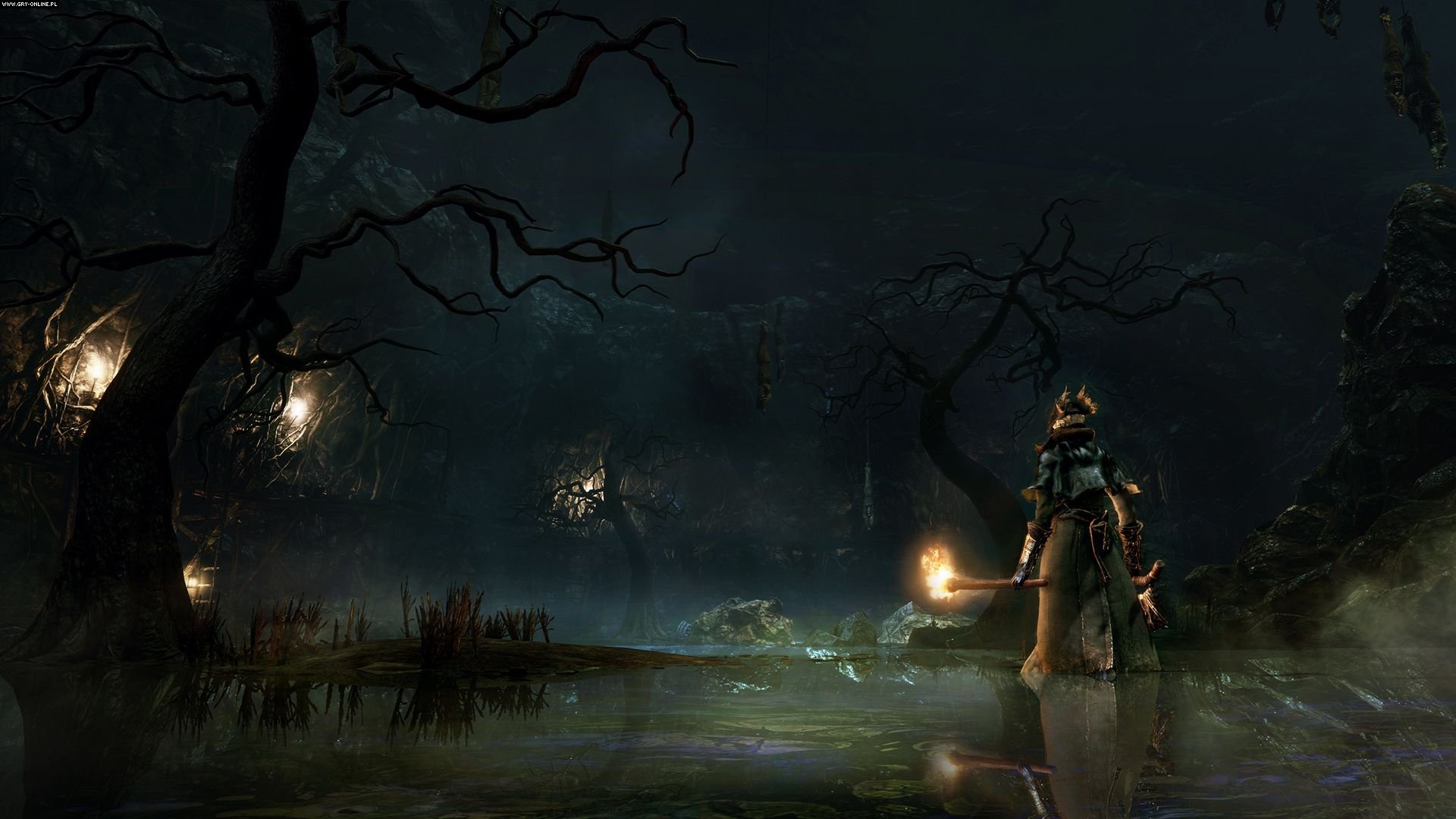 Скриншот из игры Bloodborne под номером 2