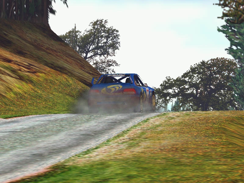 Скриншот из игры Rally Championship 2000 под номером 3
