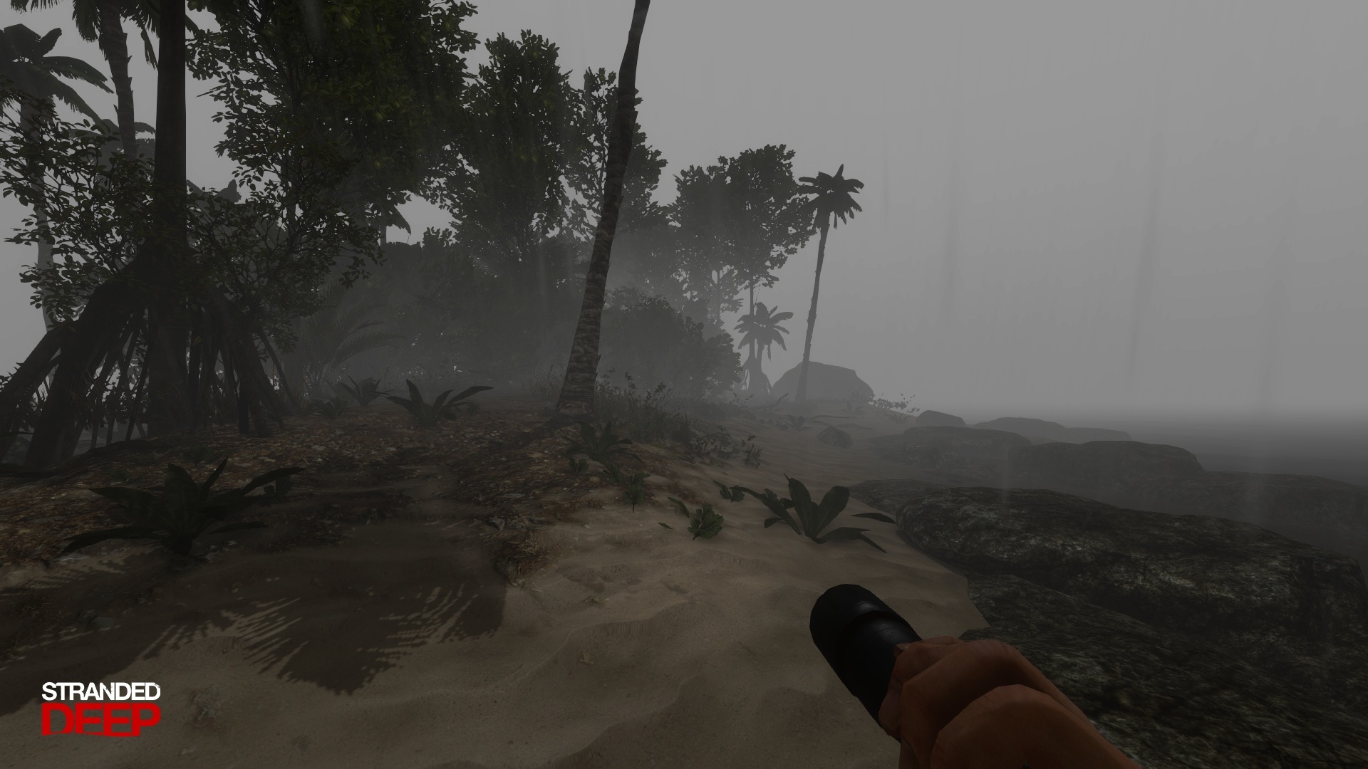 Скриншот из игры Stranded Deep под номером 8