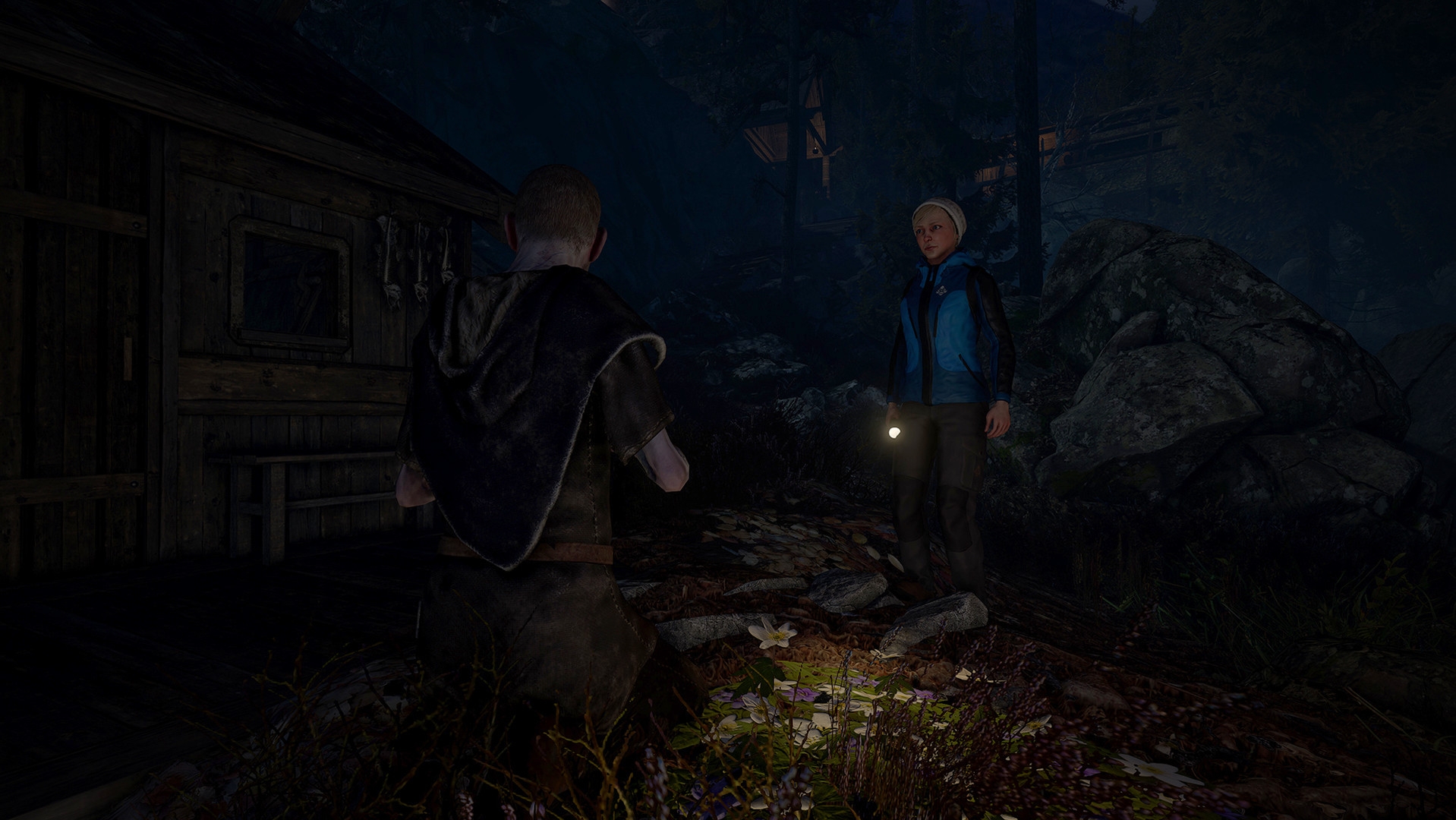Скриншот из игры Through the Woods под номером 11