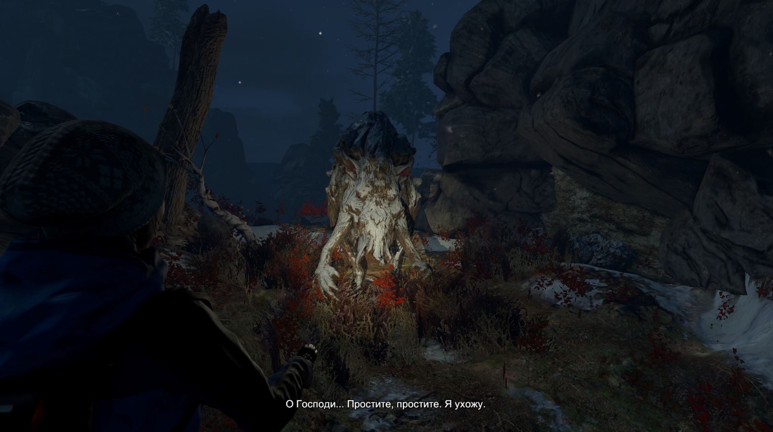 Скриншот из игры Through the Woods под номером 14