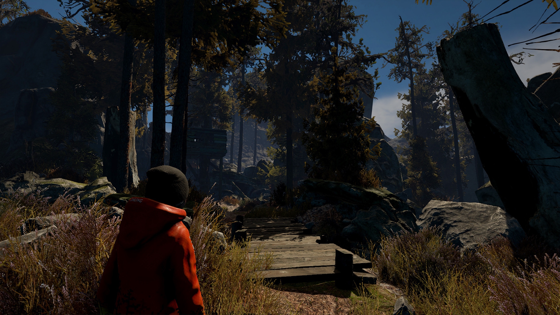 Скриншот из игры Through the Woods под номером 6