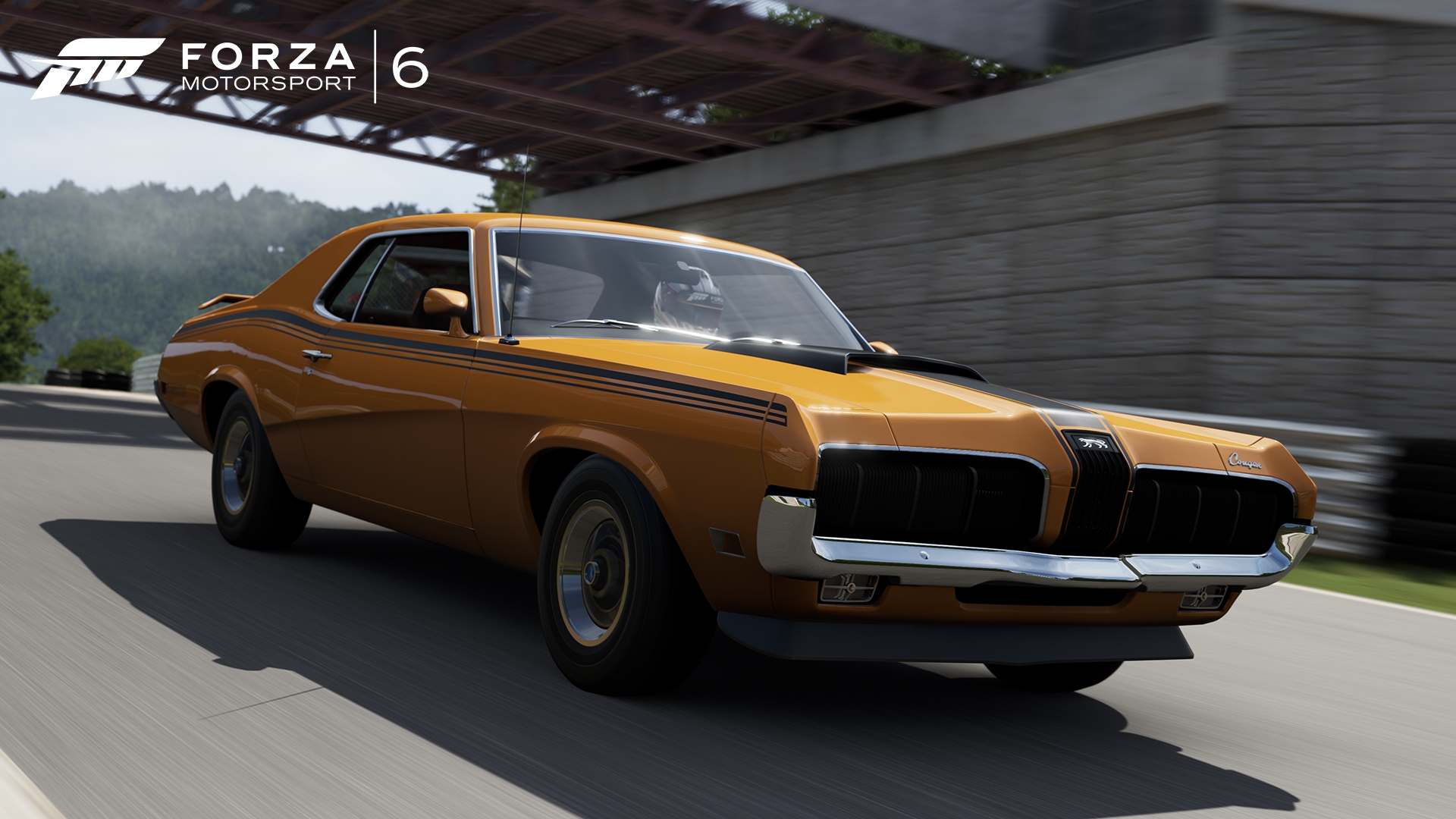 Скриншот из игры Forza Motorsport 6 под номером 10