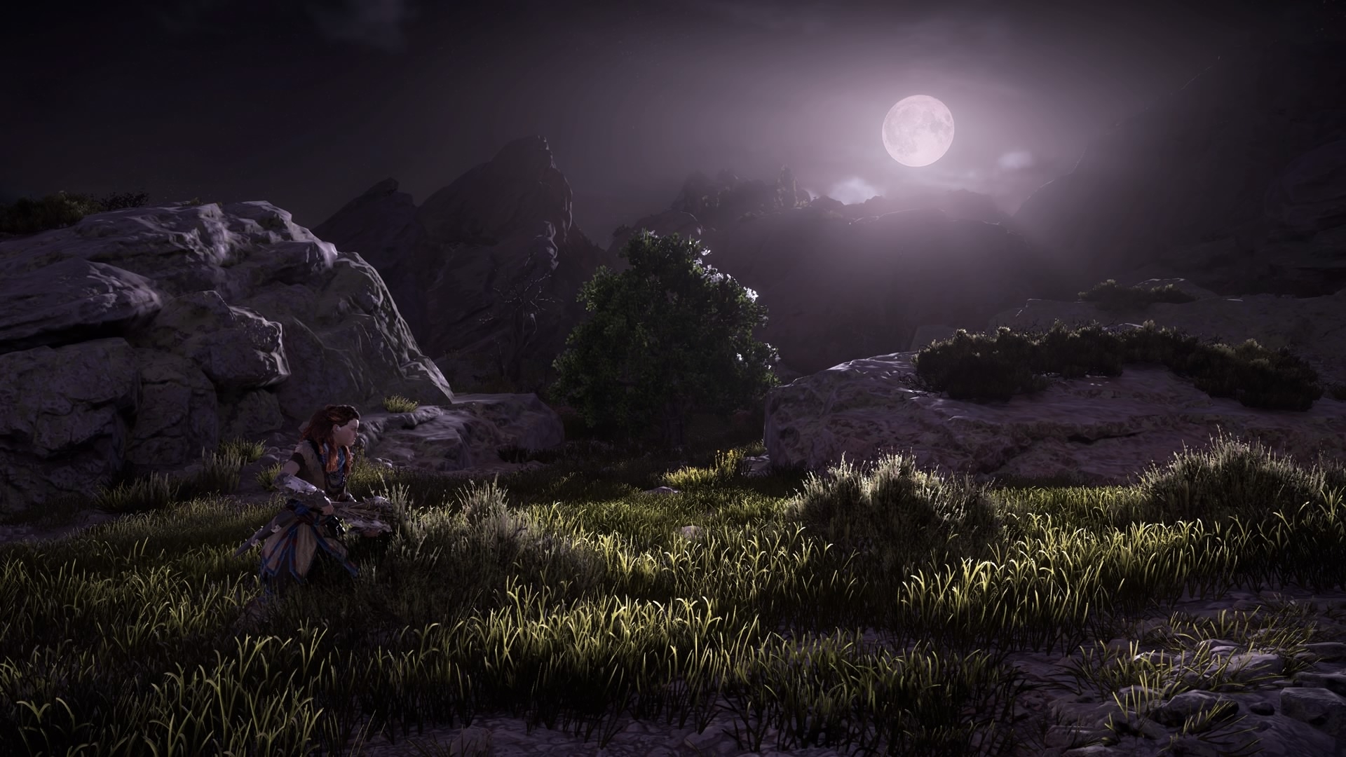 Скриншот из игры Horizon: Zero Dawn под номером 11