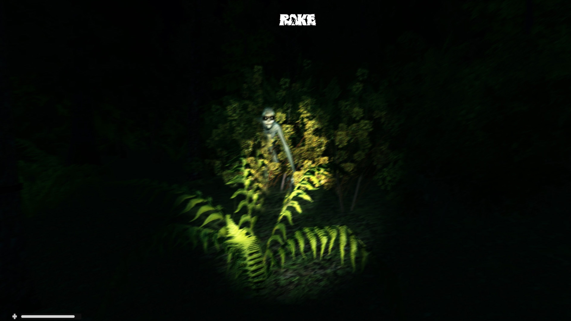 Скриншот из игры Rake под номером 20