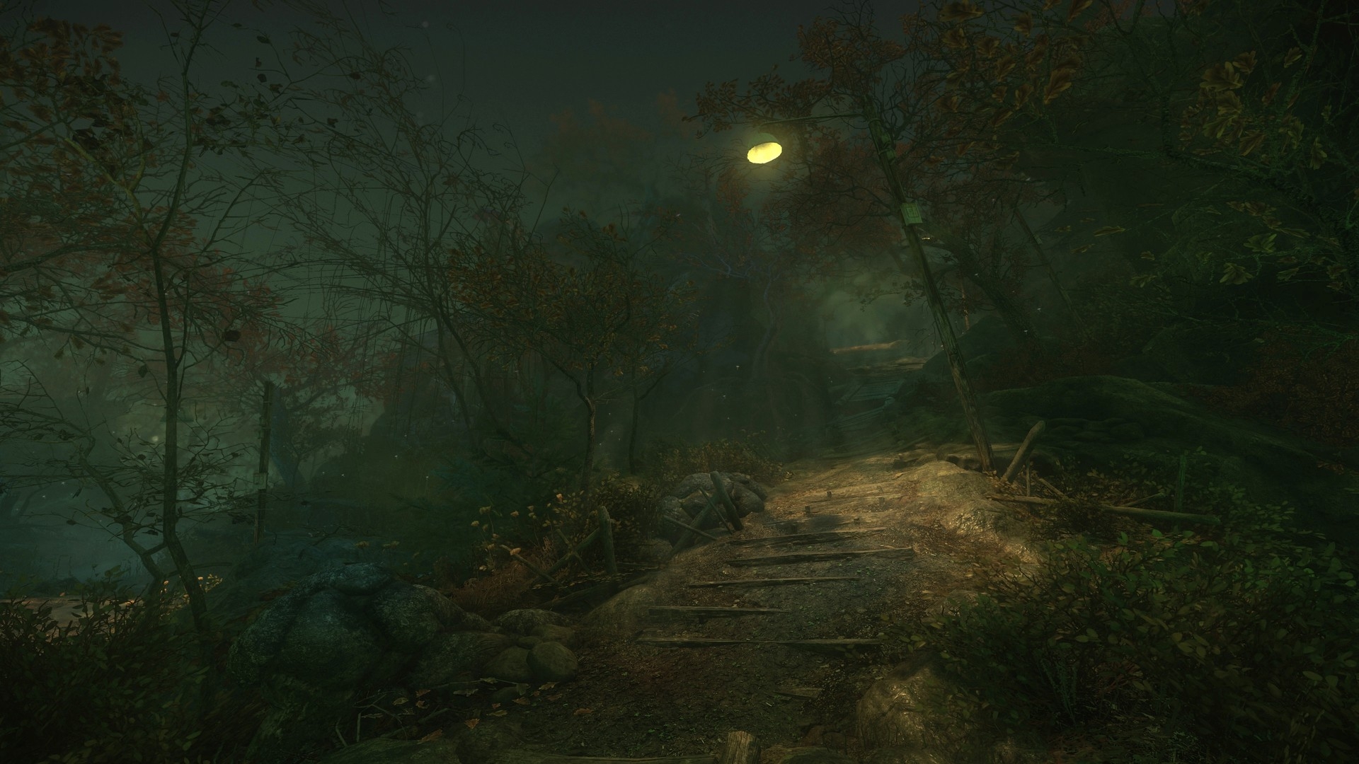 Скриншот из игры Cursed Forest, The под номером 2