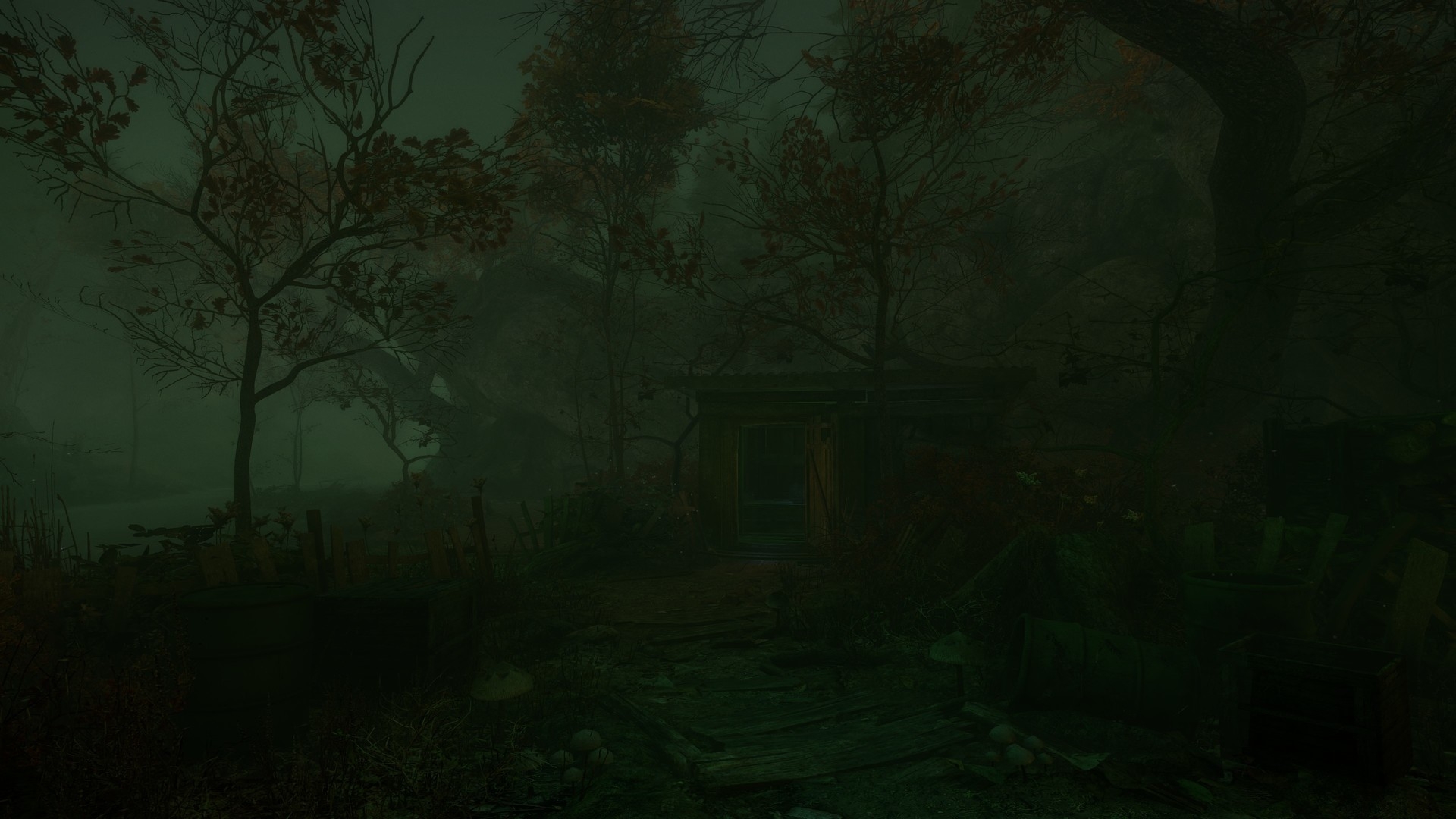 Скриншот из игры Cursed Forest, The под номером 3