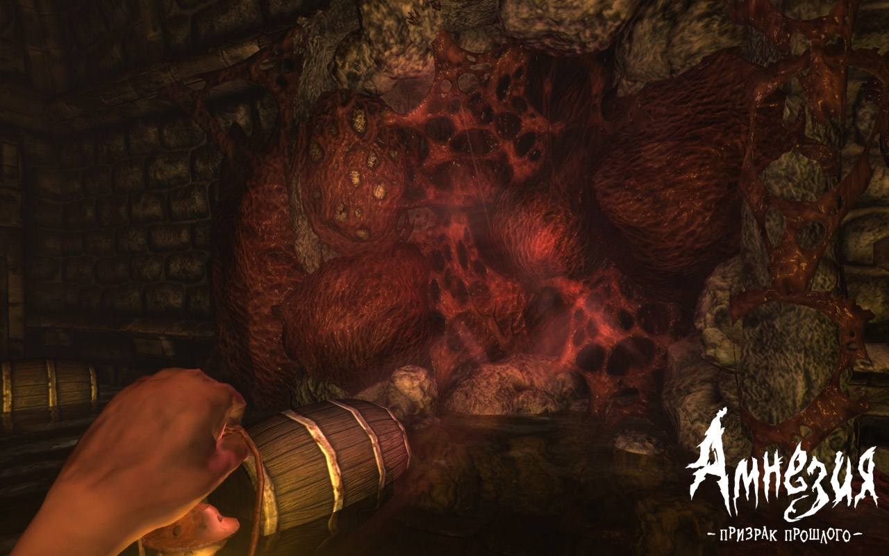 Скриншот из игры Amnesia: The Dark Descent под номером 4