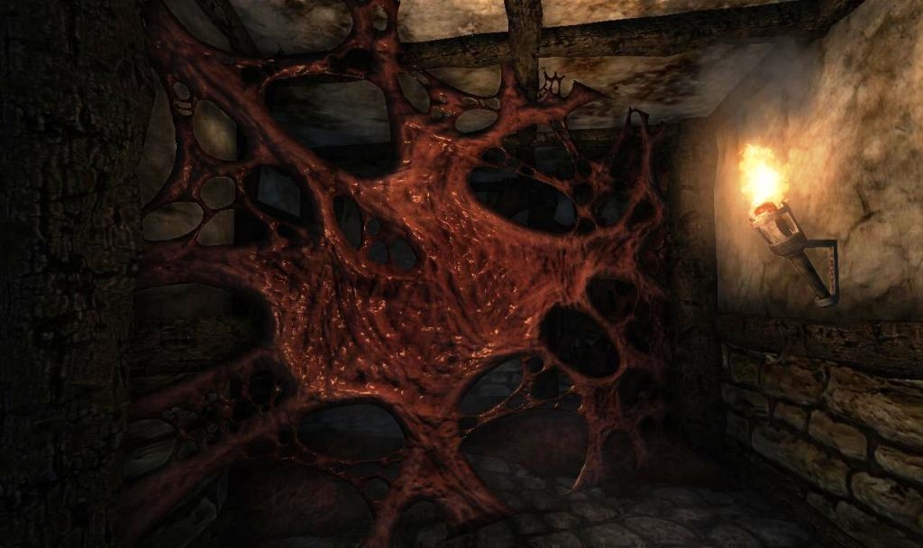 Скриншот из игры Amnesia: The Dark Descent под номером 40