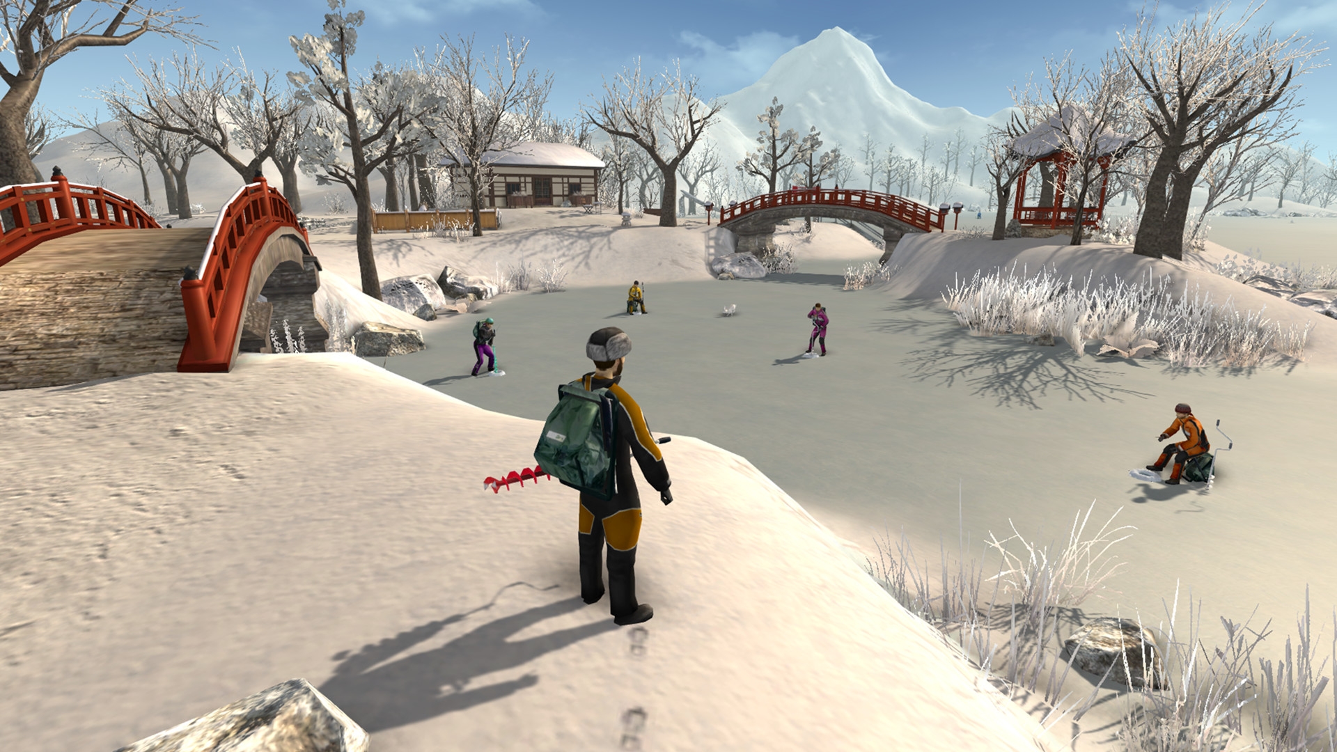 Скриншот из игры Ice Lakes под номером 7