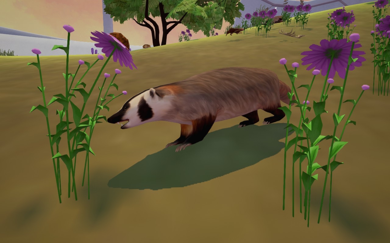 Скриншот из игры Tyto Ecology под номером 6