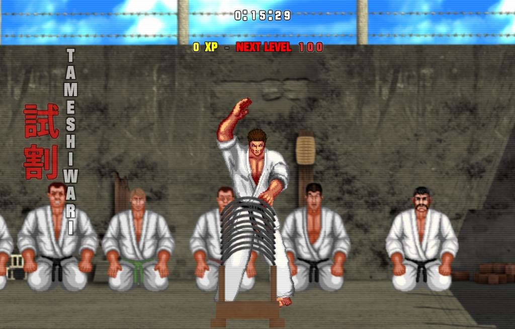 Скриншот из игры Karate Master 2 Knock Down Blow под номером 8