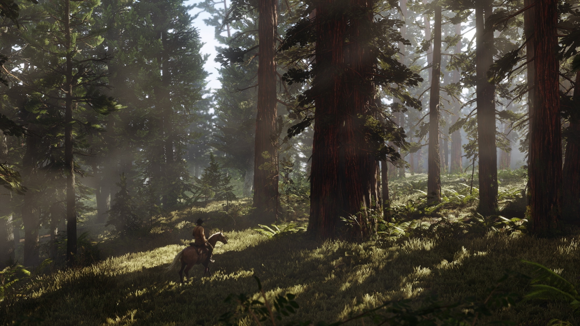 Скриншот из игры Red Dead Redemption 2 под номером 6