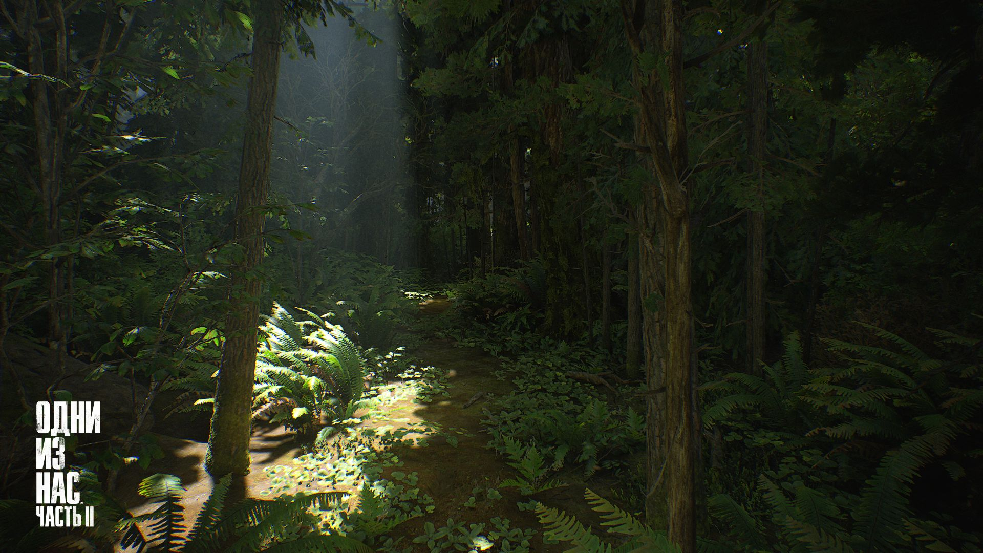 Скриншот из игры Last of Us: Part 2, The под номером 15