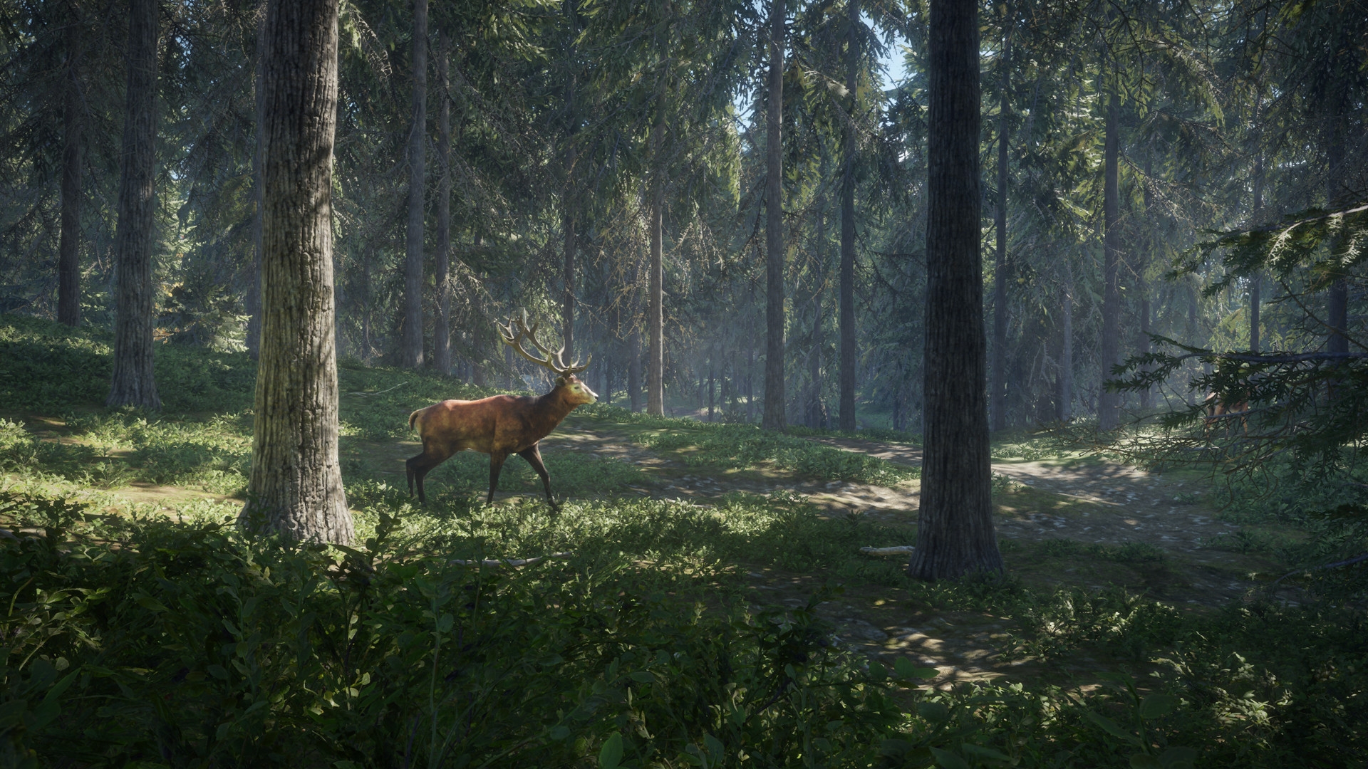 Скриншот из игры theHunter: Call of the Wild под номером 9