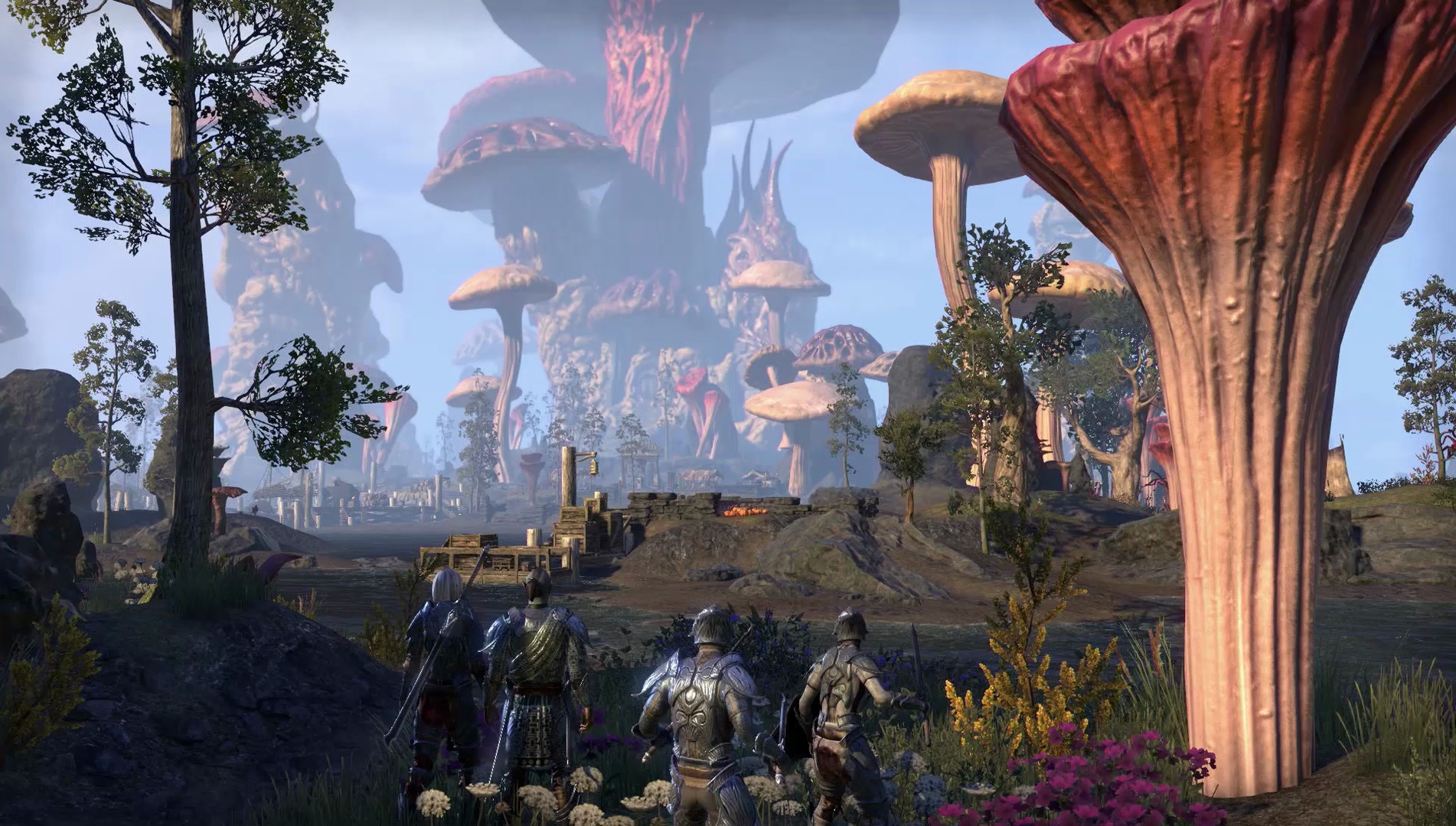 Скриншот из игры Elder Scrolls Online: Morrowind, The под номером 3