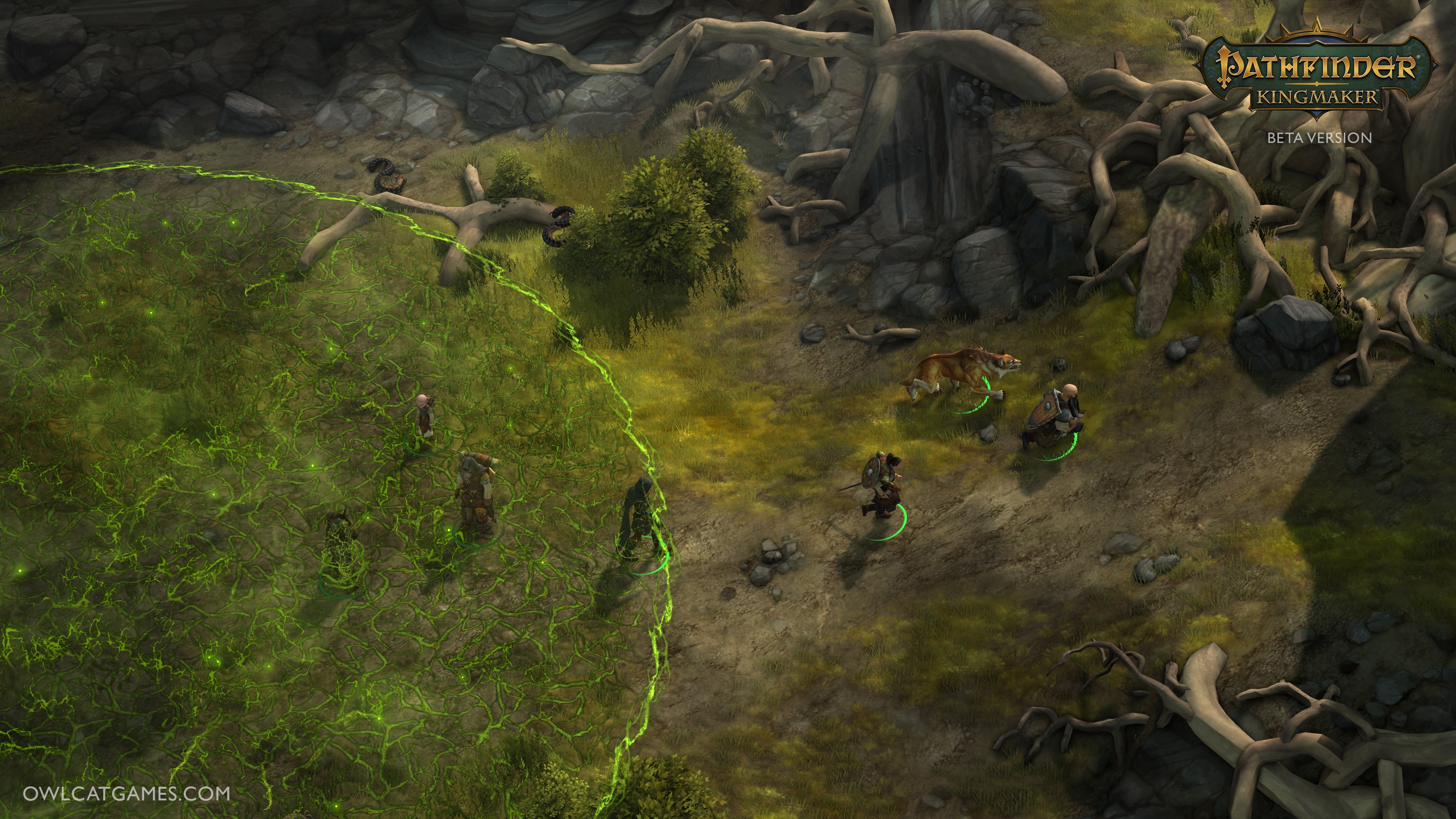 Скриншот из игры Pathfinder: Kingmaker под номером 21