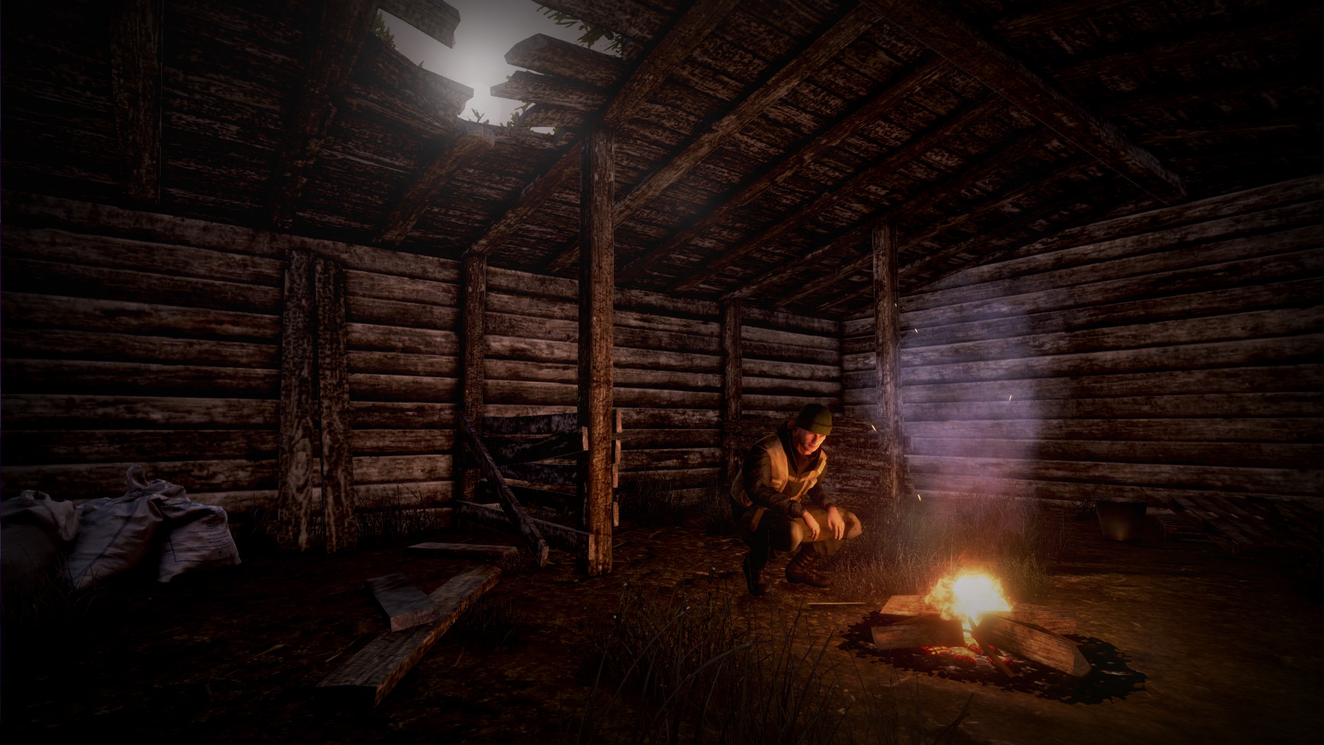 Скриншот из игры Next Day: Survival под номером 9