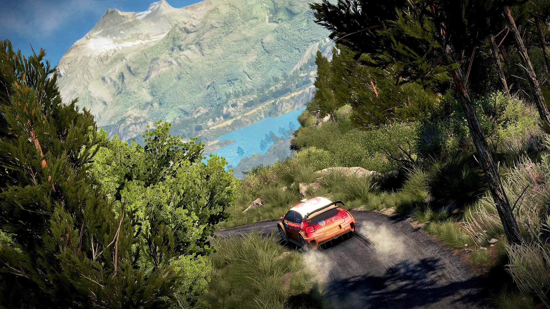 Скриншот из игры WRC 7 FIA World Rally Championship под номером 7