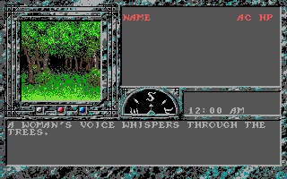 Скриншот из игры Dark Queen of Krynn под номером 32