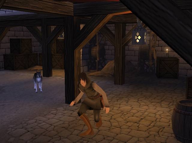 Скриншот из игры Inquisition под номером 8