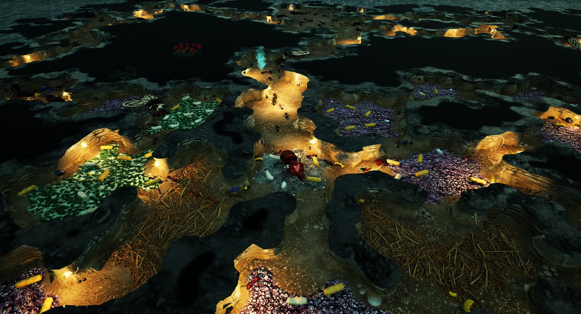 Скриншот из игры Empires of the Undergrowth под номером 1