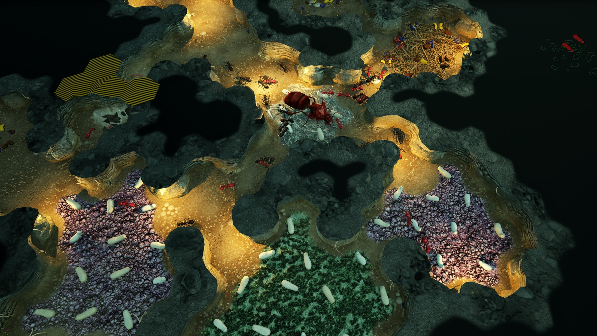 Скриншот из игры Empires of the Undergrowth под номером 3