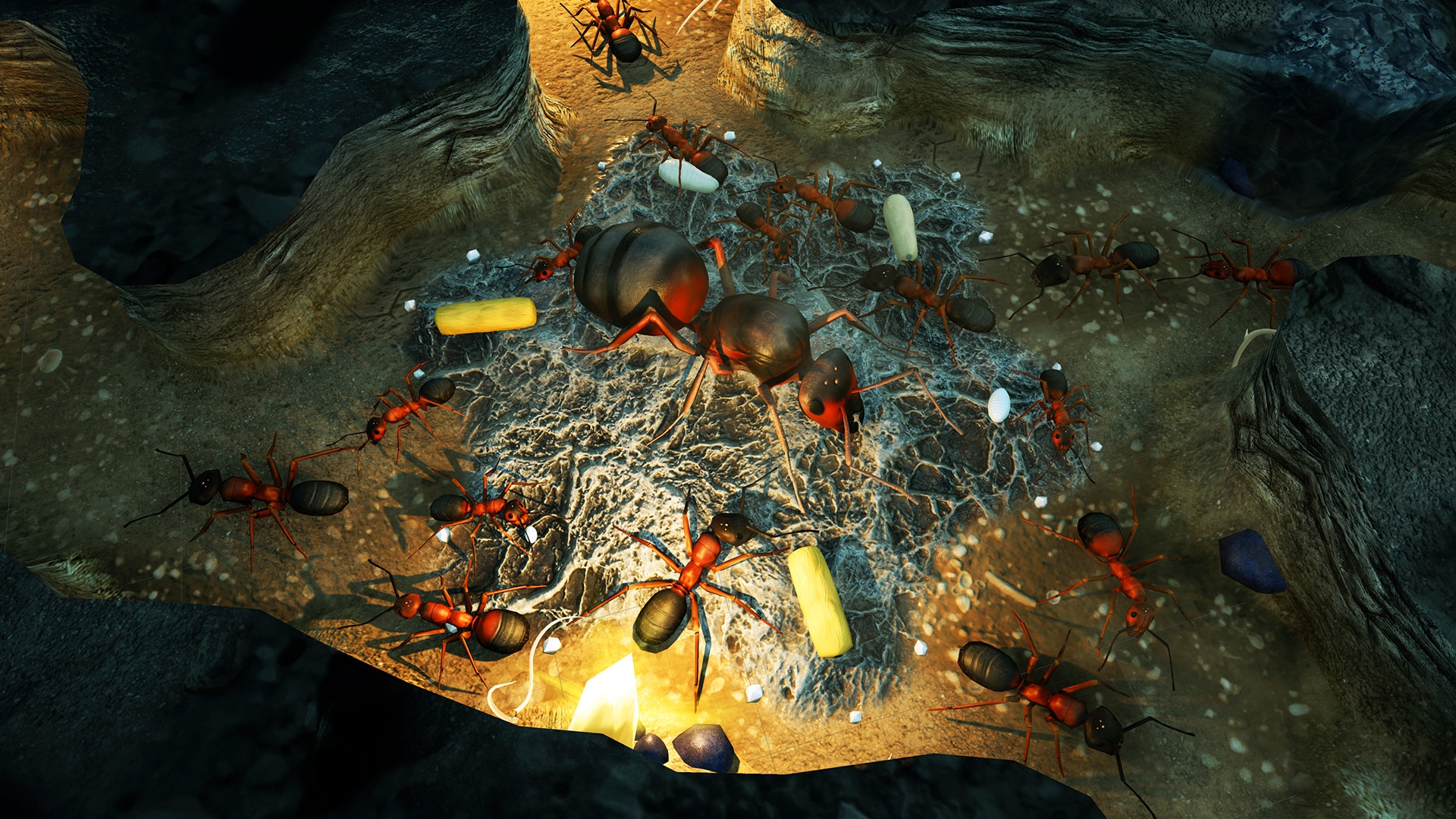 Скриншот из игры Empires of the Undergrowth под номером 5