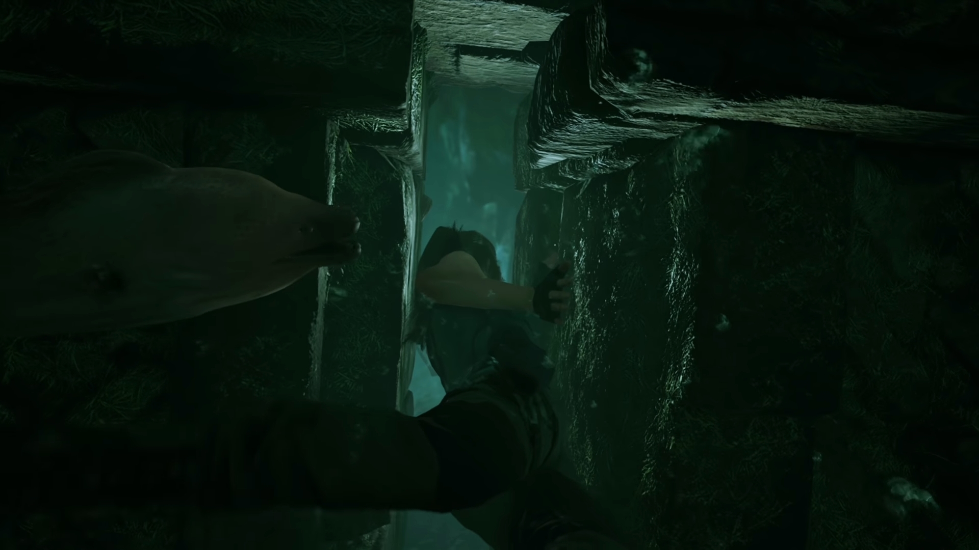 Скриншот из игры Shadow of the Tomb Raider под номером 15