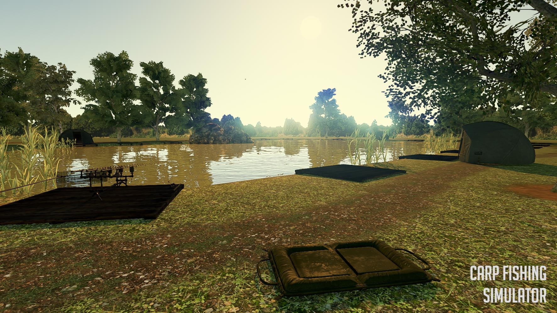 Скриншот из игры Carp Fishing Simulator под номером 6