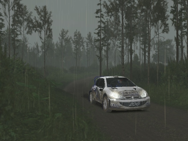 Скриншот из игры Richard Burns Rally под номером 11