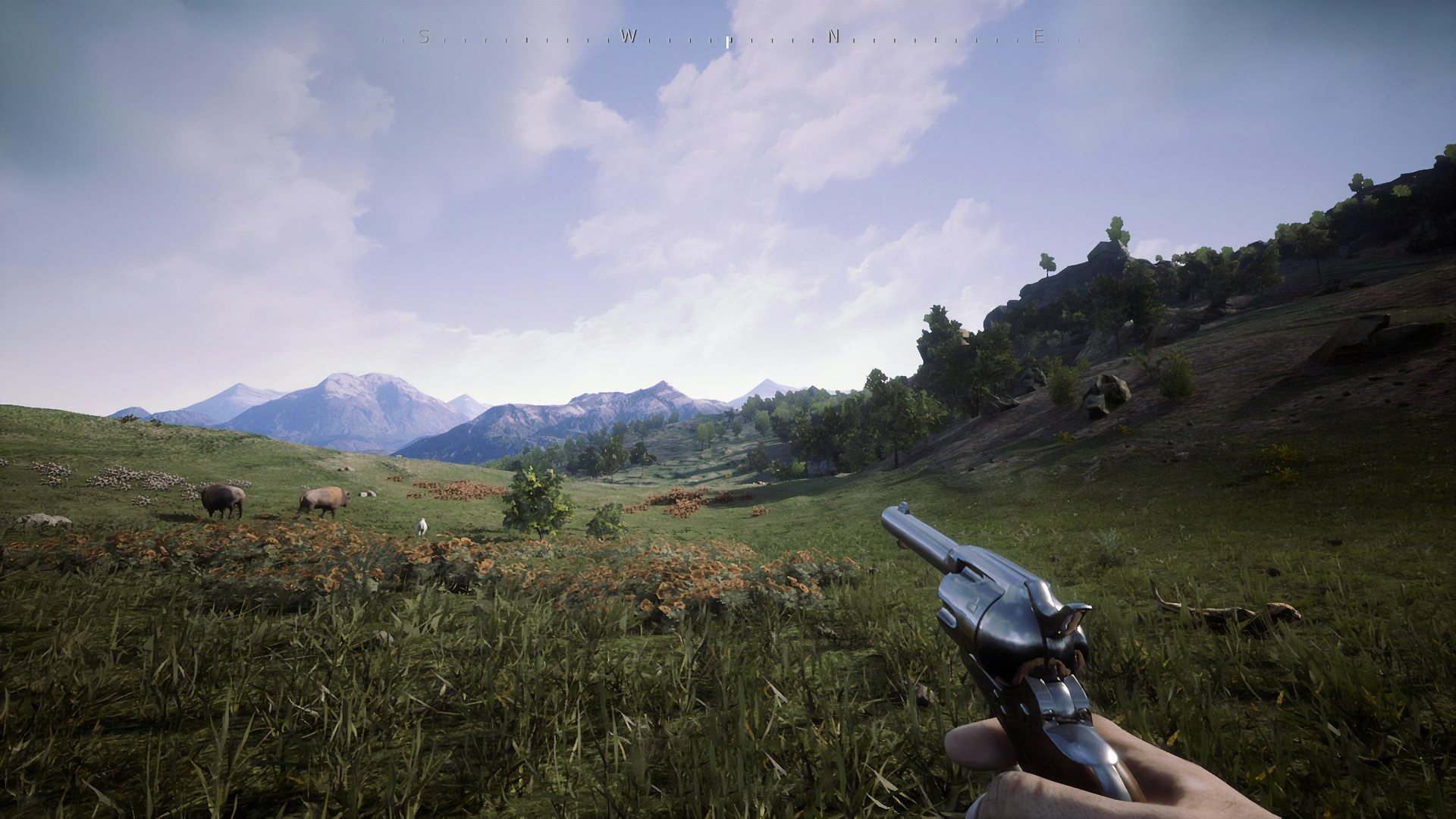Скриншот из игры Outlaws of the Old West под номером 5