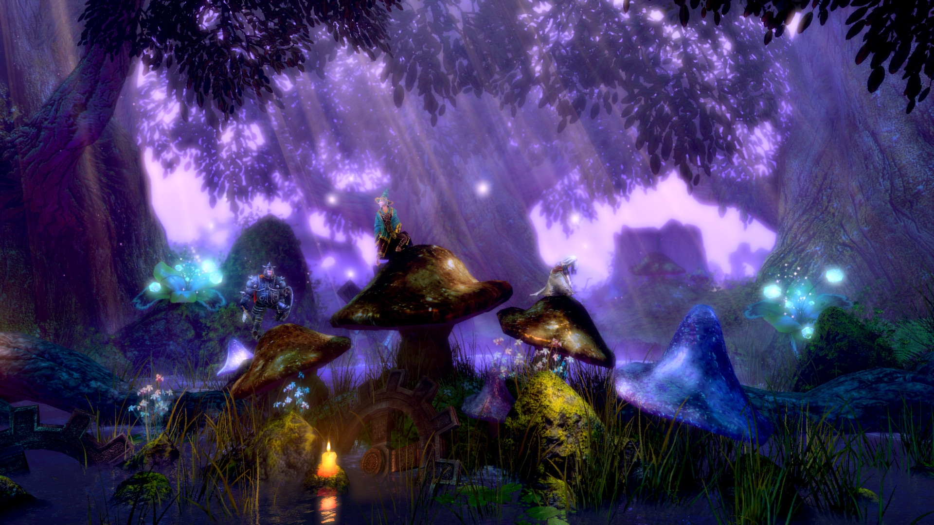 Скриншот из игры Trine: Enchanted Edition под номером 4