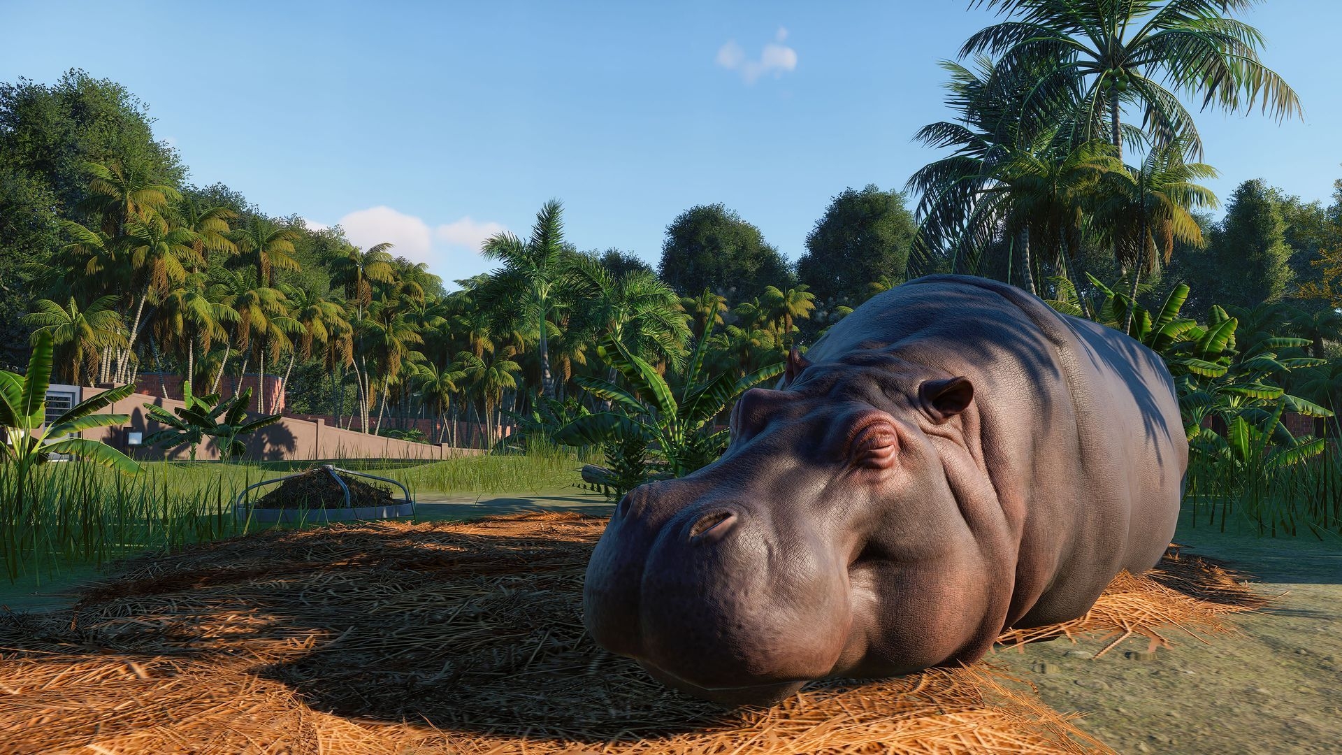 Скриншот из игры Planet Zoo под номером 5