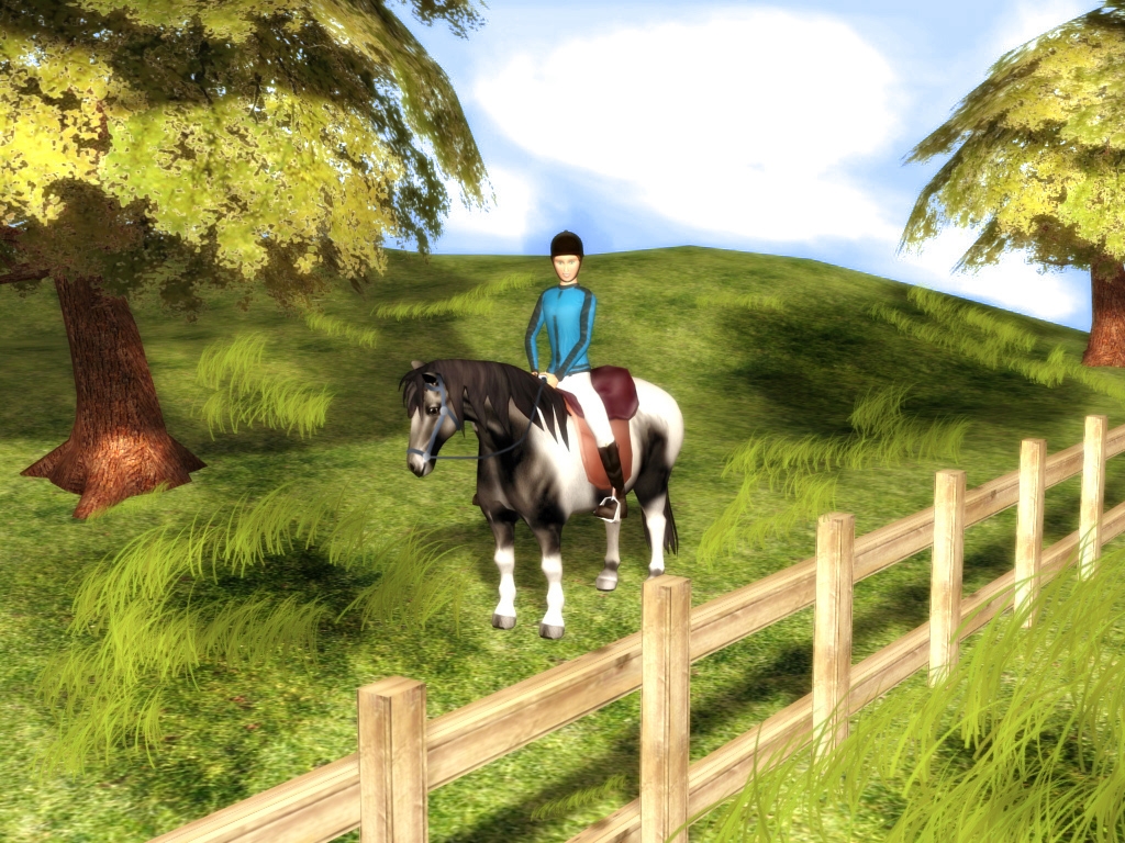 Скриншот из игры Riders World Competition под номером 2