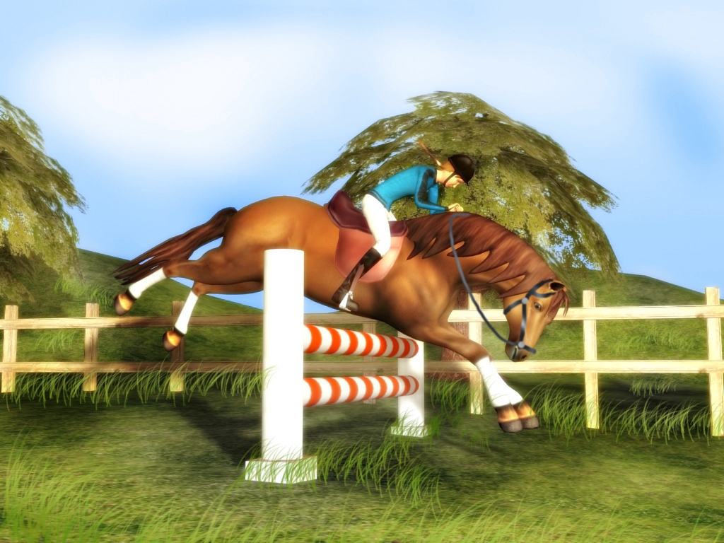 Скриншот из игры Riders World Competition под номером 3