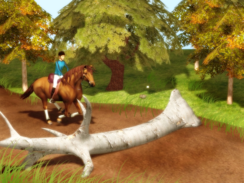 Скриншот из игры Riders World Competition под номером 4