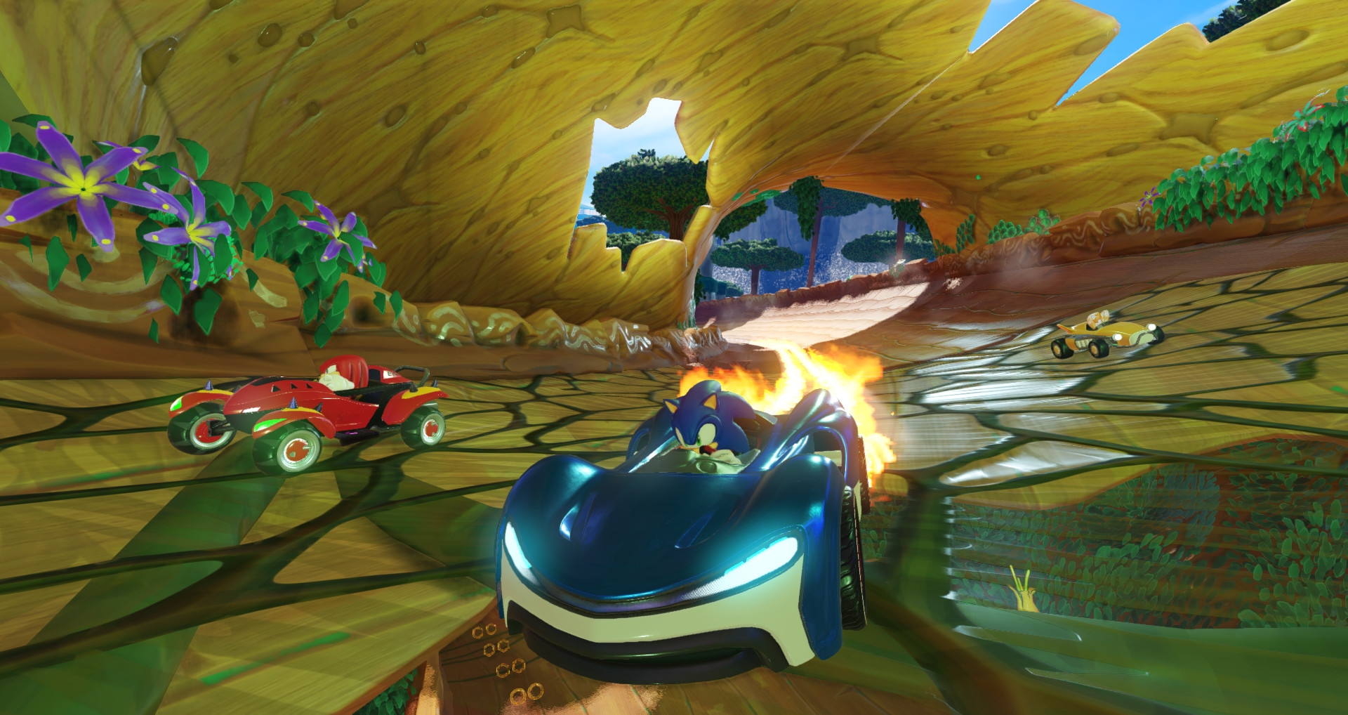 Скриншот из игры Team Sonic Racing под номером 6