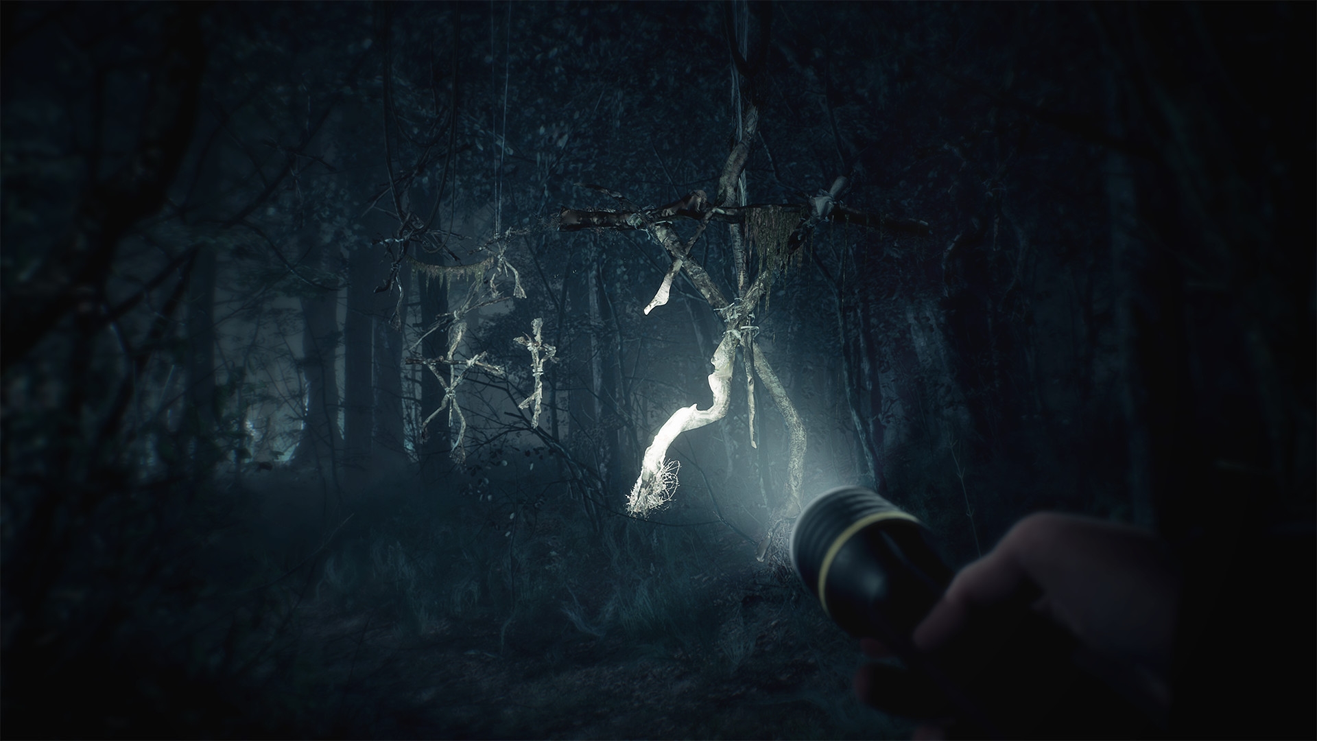 Скриншот из игры Blair Witch под номером 1