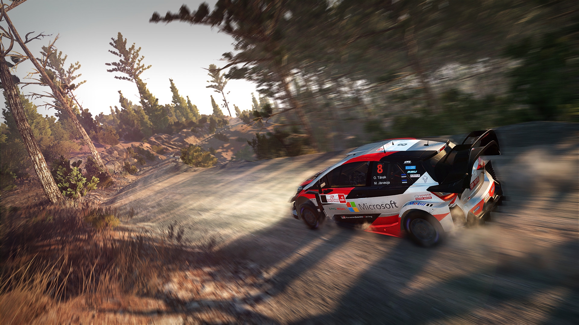 Скриншот из игры WRC 8 под номером 3