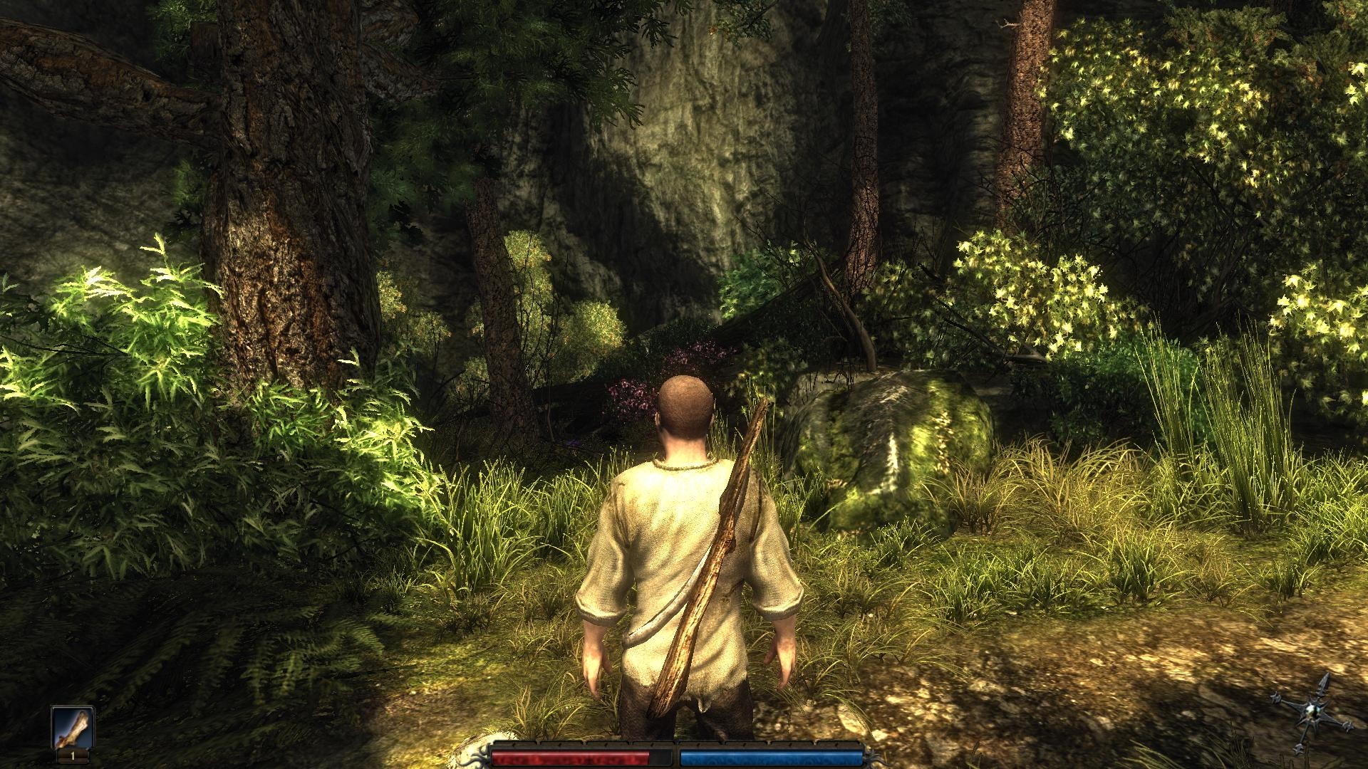 Скриншот из игры Risen под номером 62
