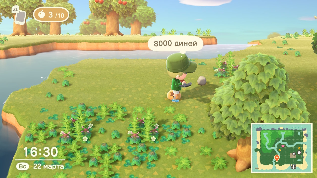 Скриншот из игры Animal Crossing: New Horizons под номером 24