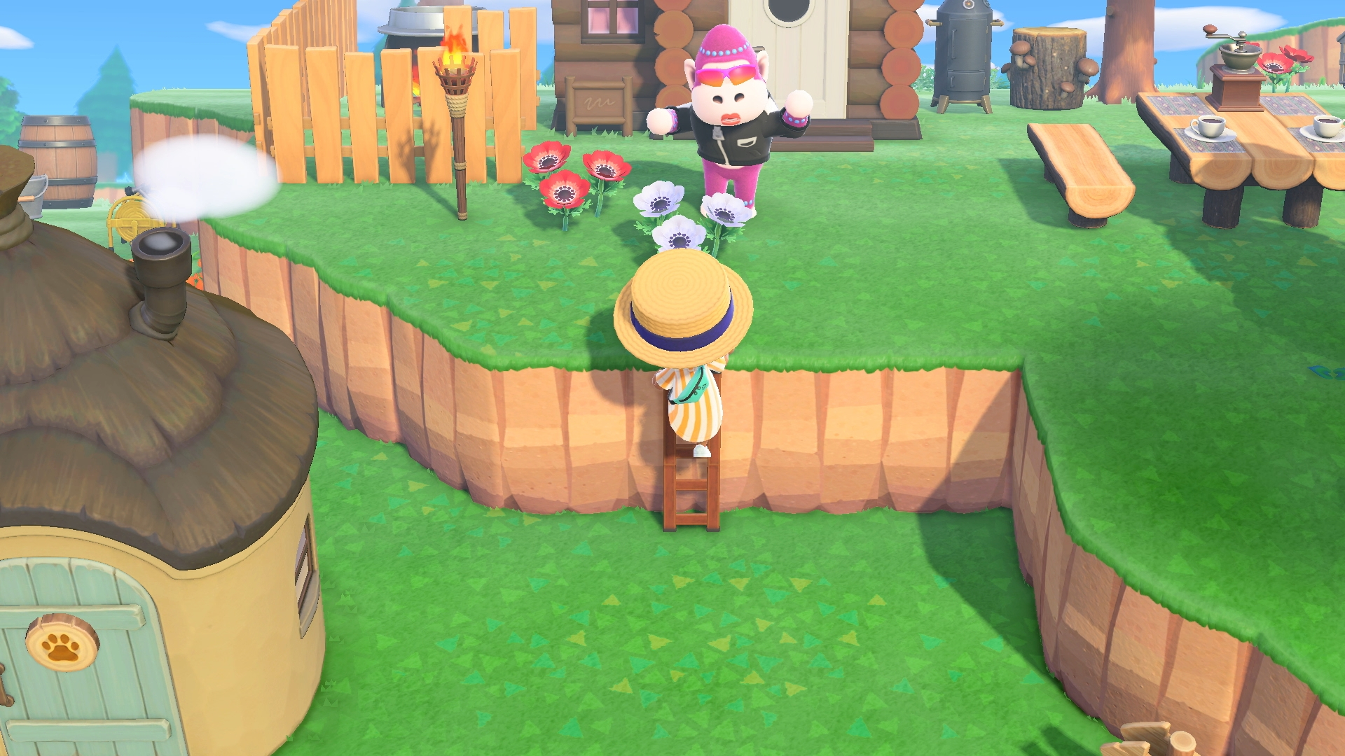 Скриншот из игры Animal Crossing: New Horizons под номером 6