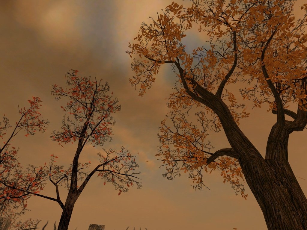 Скриншот из игры Pathologic под номером 10