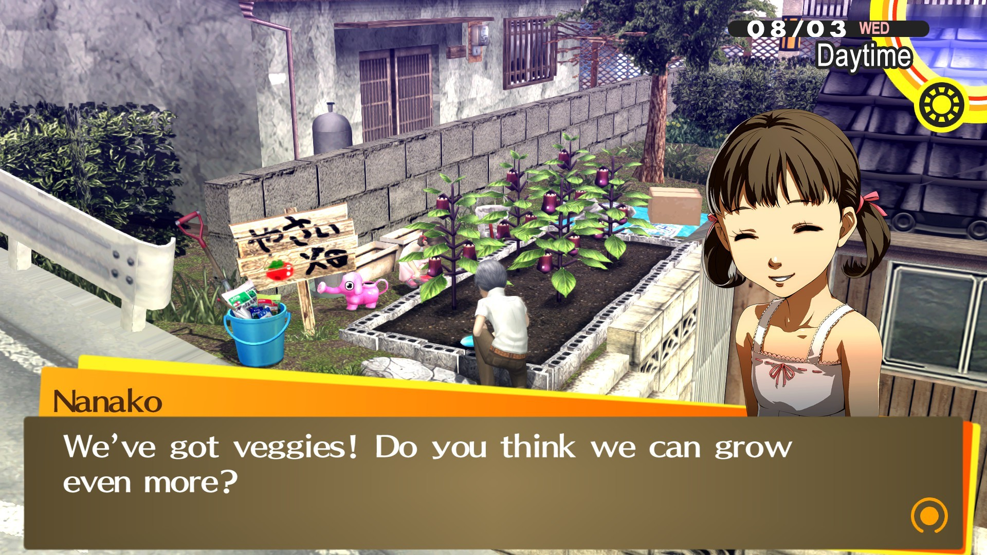 Скриншот из игры Persona 4 Golden под номером 5