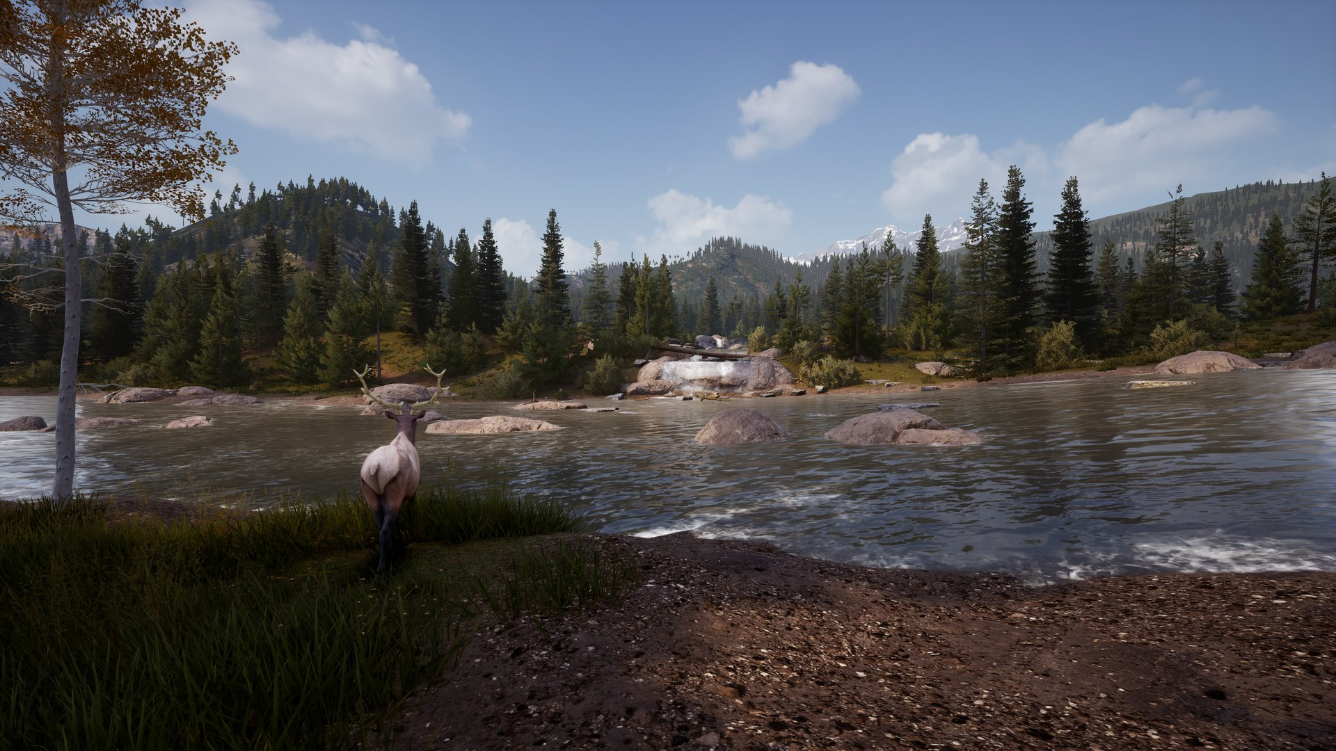 Скриншот из игры Hunting Simulator 2 под номером 4
